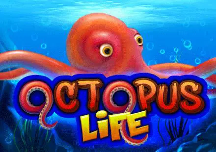 Octopus Life - Spin City - Congo